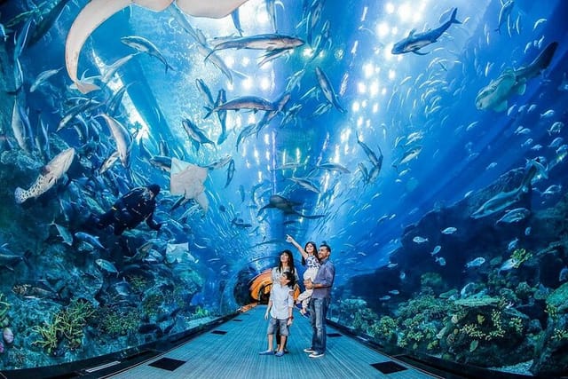 mall-aquarium-and-underwater-zoo_1